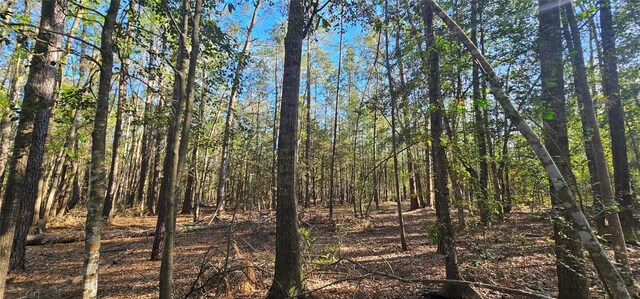 0000 Joe Allen Ext, Kountze, TX 77625