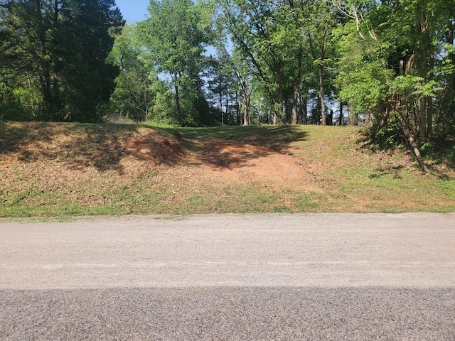 1609 Elysian Fields Ave, Marshall, TX 75670 - photo 13
