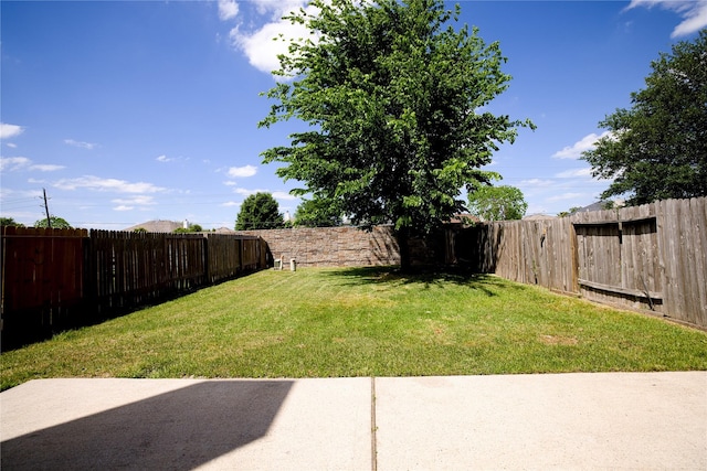 view of yard with a patio and a fenced backyard