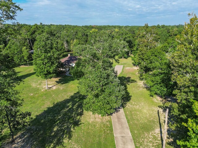 274 Robinson Tract, Livingston, TX 77351 - photo 33