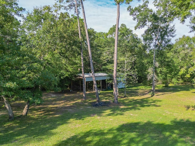 274 Robinson Tract, Livingston, TX 77351 - photo 34