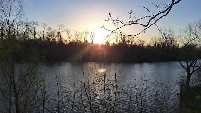 property view of water with a forest view