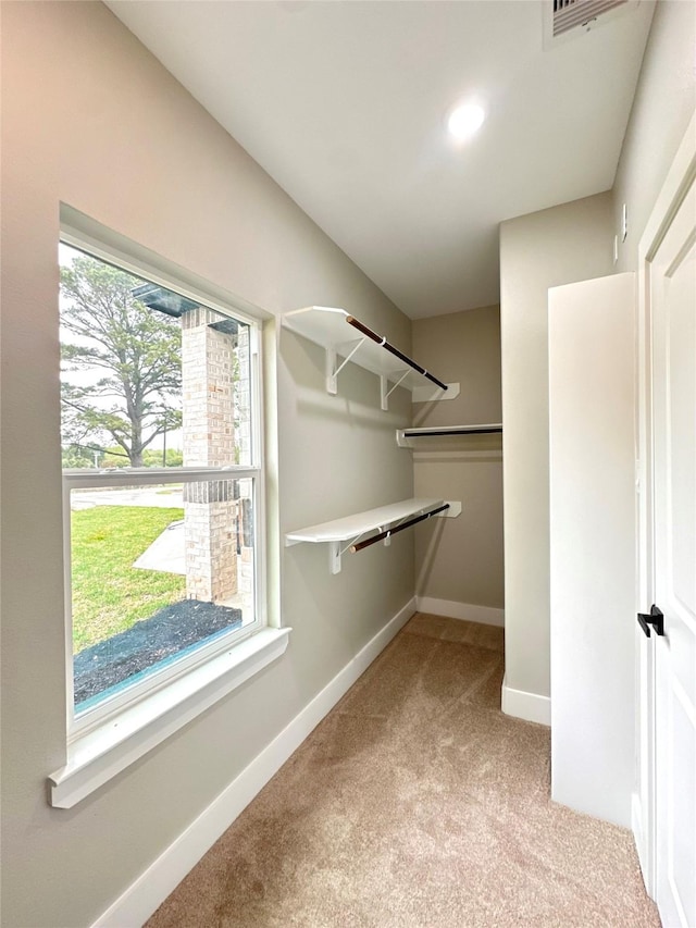 635 Lily St, Prairie View, TX 77484 - spacious closet featuring carpet floors