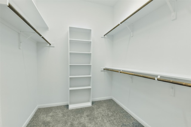 walk in closet featuring carpet flooring