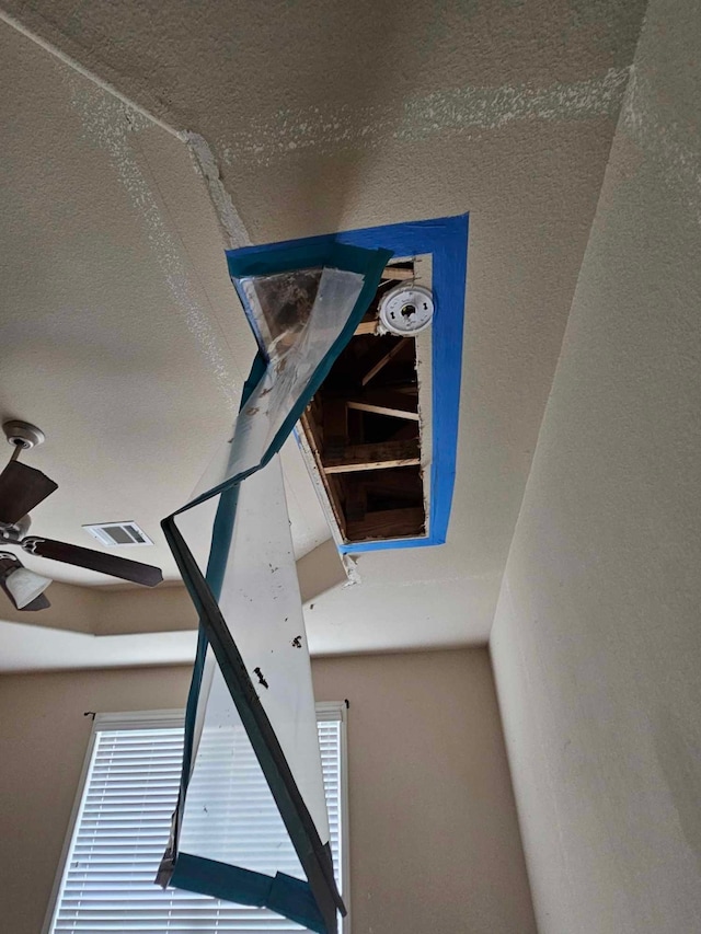 1710 Penina Dr, Crosby, TX 77532 - details featuring visible vents and a ceiling fan