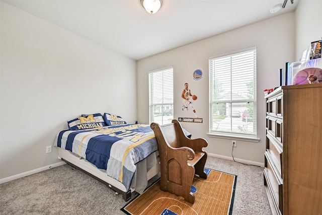 13710 Alaskan Brown Bear Trl, Crosby, TX 77532 - bedroom with carpet floors and baseboards