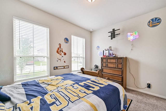 13710 Alaskan Brown Bear Trl, Crosby, TX 77532 - bedroom with baseboards and carpet