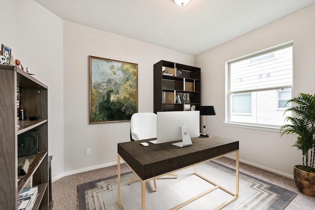 13710 Alaskan Brown Bear Trl, Crosby, TX 77532 - office with baseboards and carpet flooring