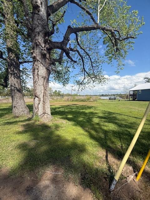 129 Lakeshore N, Onalaska, TX 77360 - photo 3