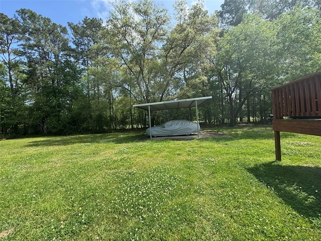 208 County Road 308, Cleveland, TX 77327 - view of yard
