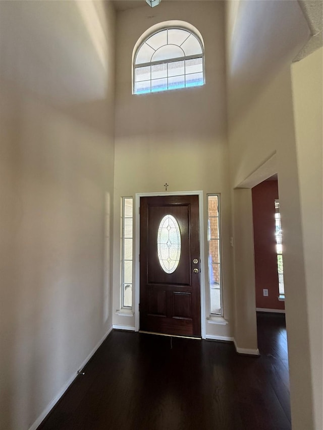 3307 Manor Tree Ln SW, Houston, TX 77068 - entryway featuring dark wood-style floors and a towering ceiling