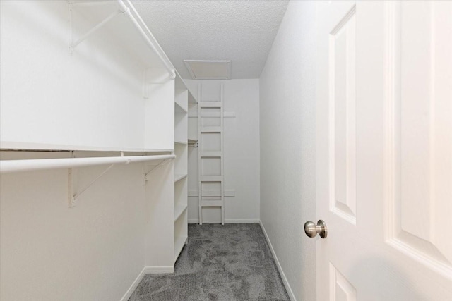 9566 Windswept Ln Unit 9566, Houston, TX 77063 - walk in closet featuring carpet floors