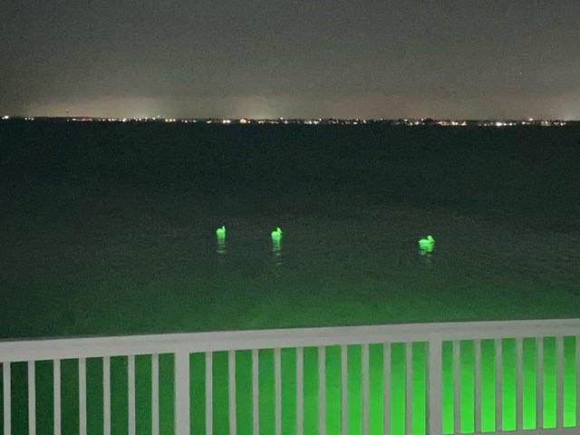301 Isles End Rd, Tiki Island, TX 77554 - view of yard at twilight