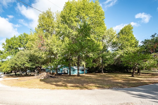 110 N Bailey St, Trinity, TX 75862 - photo 17