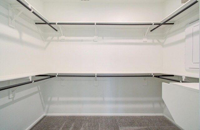 693 Cape Capri Dr, Katy, TX 77493 - walk in closet with carpet floors