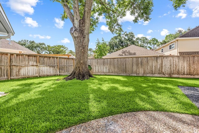 11814 Drexelbrook Dr, Houston, TX 77077 - view of fenced backyard