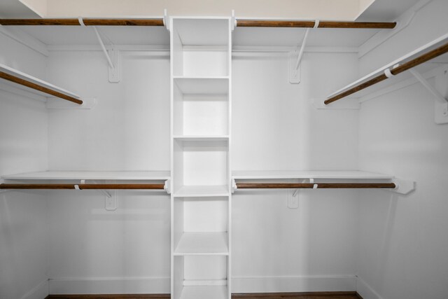 spacious closet featuring wood finished floors