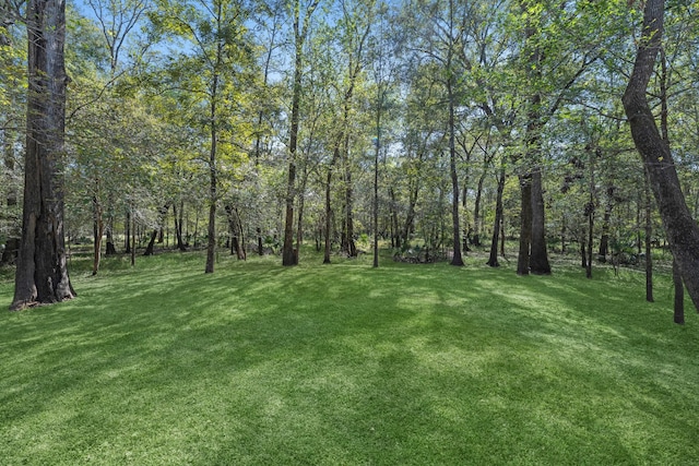 535 Hunter Dr, Cleveland, TX 77327 - photo 29