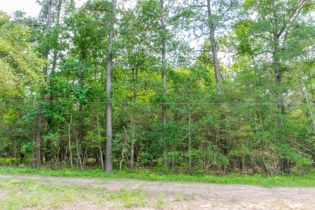 0 Pine Ln, Montgomery, TX 77356