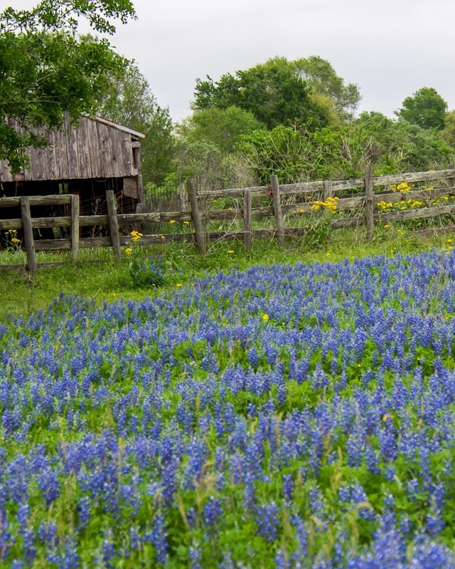 31319 Hastings Creek Ln, Fulshear, TX 77441 - view of yard