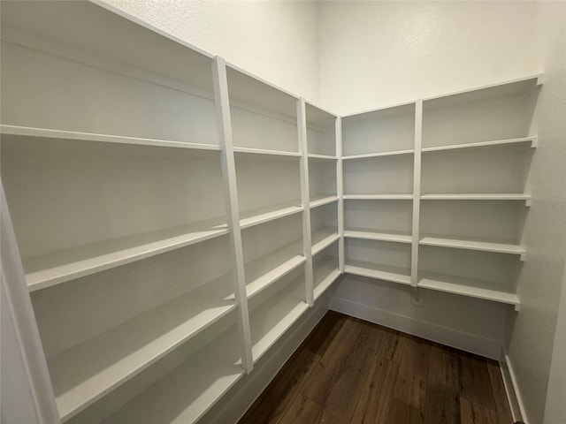 31319 Hastings Creek Ln, Fulshear, TX 77441 - view of pantry