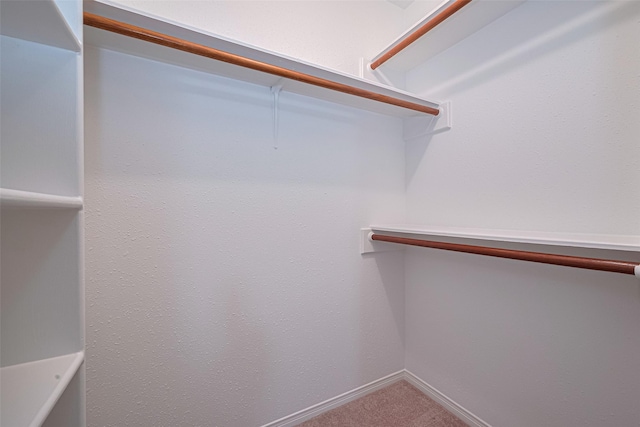 26003 Fountaine Bleau Dr, Tomball, TX 77377 - spacious closet with carpet