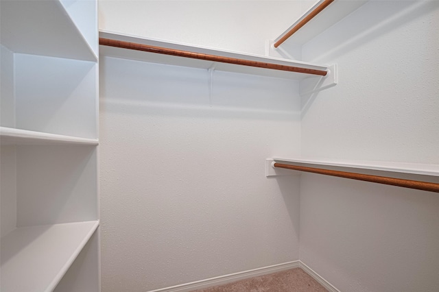 26003 Fountaine Bleau Dr, Tomball, TX 77377 - walk in closet featuring carpet floors