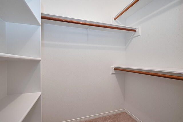 26003 Fountaine Bleau Dr, Tomball, TX 77377 - walk in closet featuring carpet floors