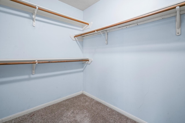 walk in closet featuring carpet