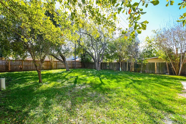 15827 Tammany Ln, Houston, TX 77082 - view of yard with a fenced backyard