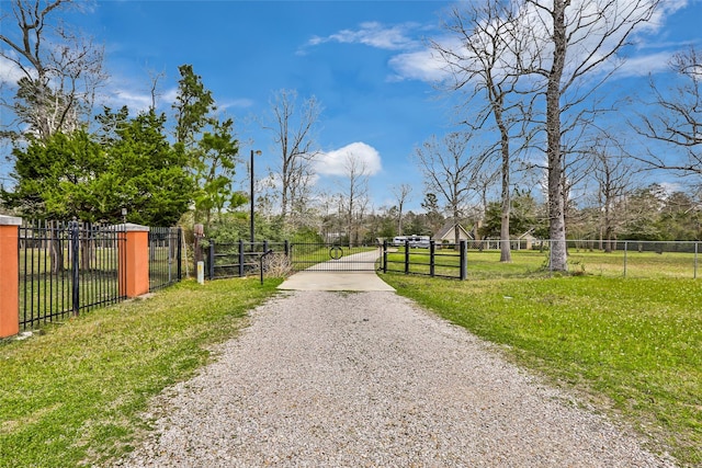 2585 State Highway 150, Coldspring, TX 77331 - view of dirt / gravel driveway featuring a gate and a gated entry
