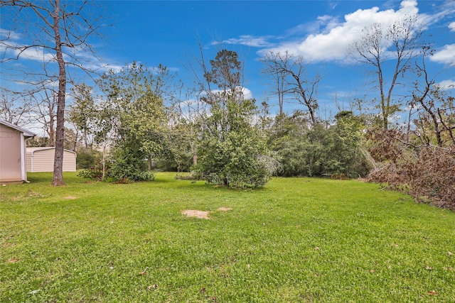 2585 State Highway 150, Coldspring, TX 77331 - view of grassy yard with an outdoor structure