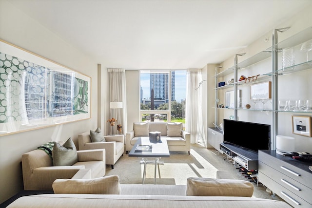 living area with carpet