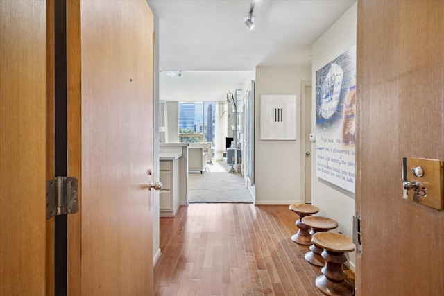 hall with baseboards, wood finished floors, and rail lighting
