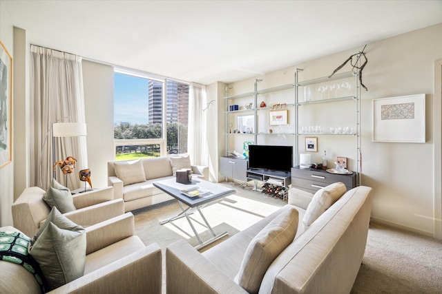 living area featuring floor to ceiling windows and carpet