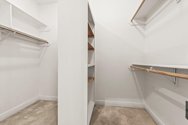 walk in closet with carpet flooring