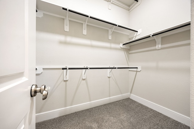 spacious closet featuring carpet flooring