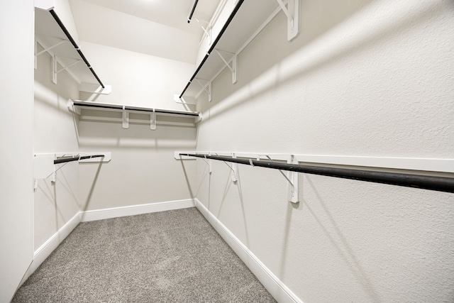 spacious closet with light carpet