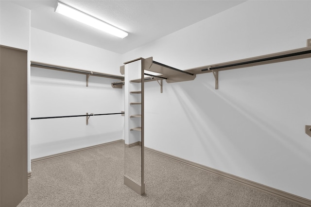 4510 Sanctuary Trails Dr, Spring, TX 77388 - view of walk in closet