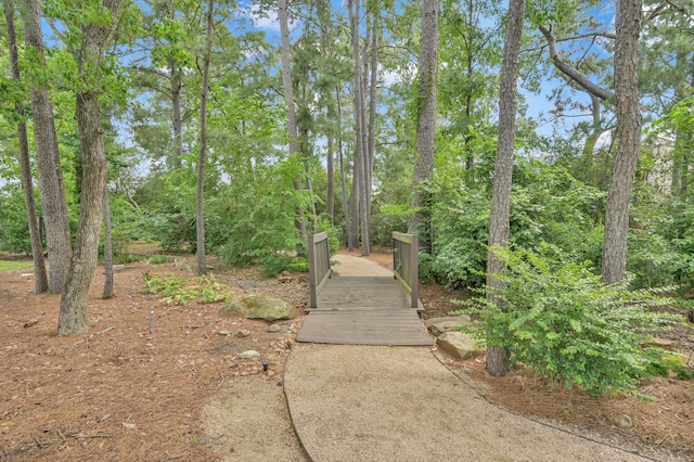 4510 Sanctuary Trails Dr, Spring, TX 77388 - view of yard
