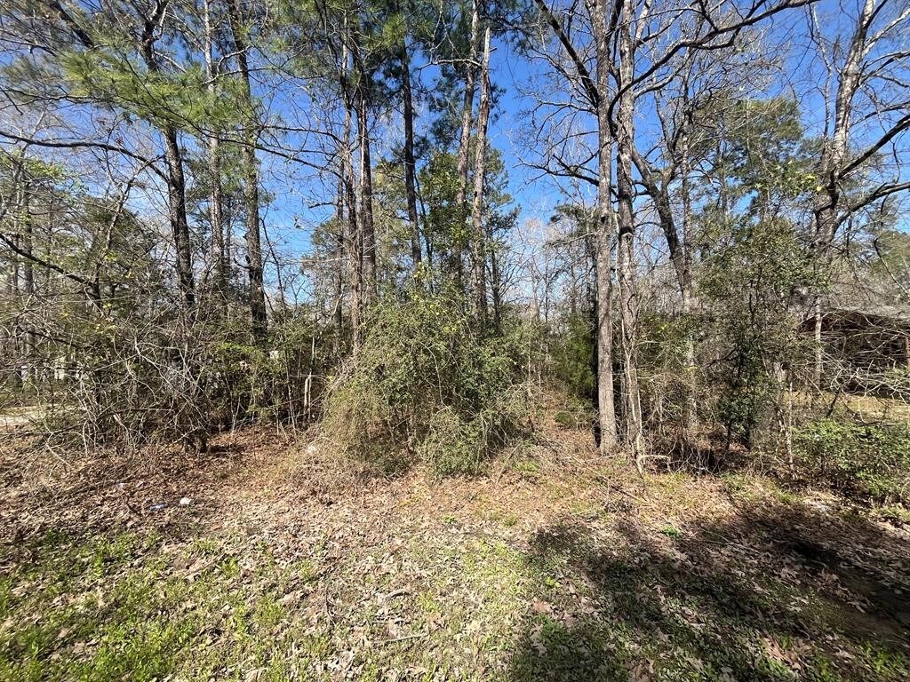 3-229 Meridian, Livingston, TX 77351