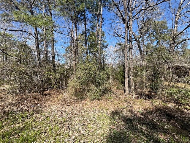 3-229 Meridian, Livingston, TX 77351