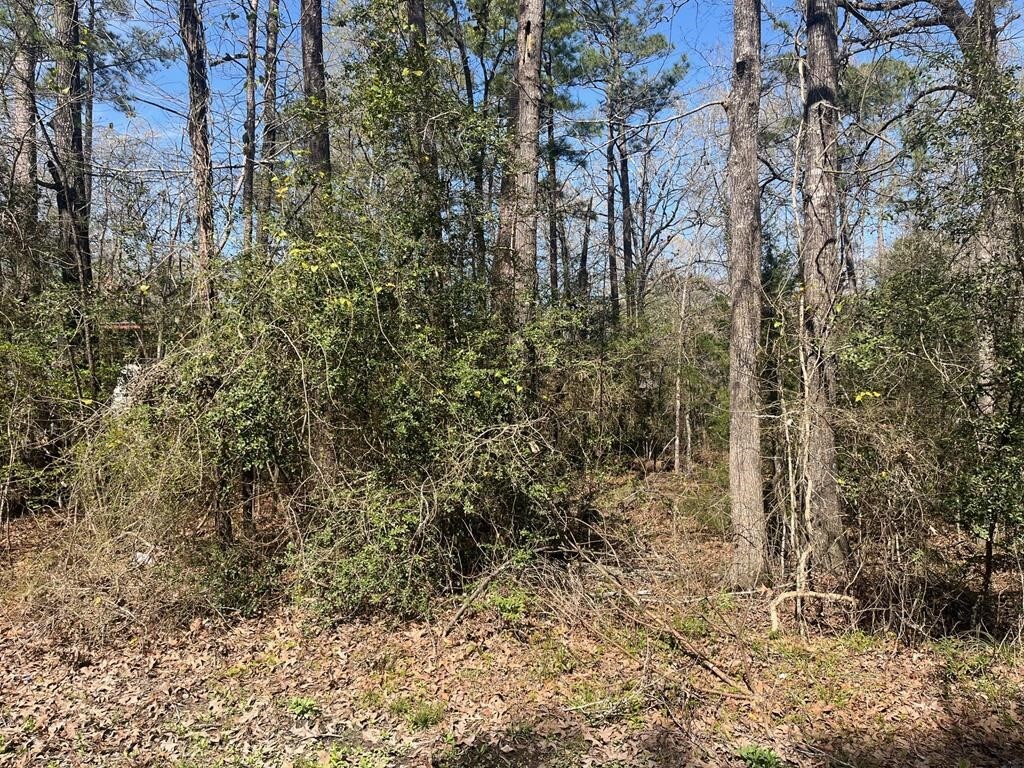 3-229 Meridian, Livingston, TX 77351
