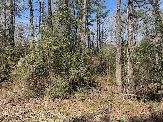 3-229 Meridian, Livingston, TX 77351