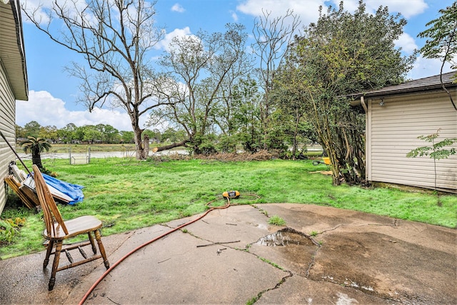 view of yard featuring a patio area