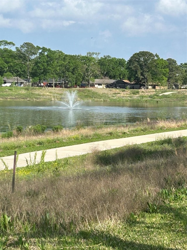 property view of water