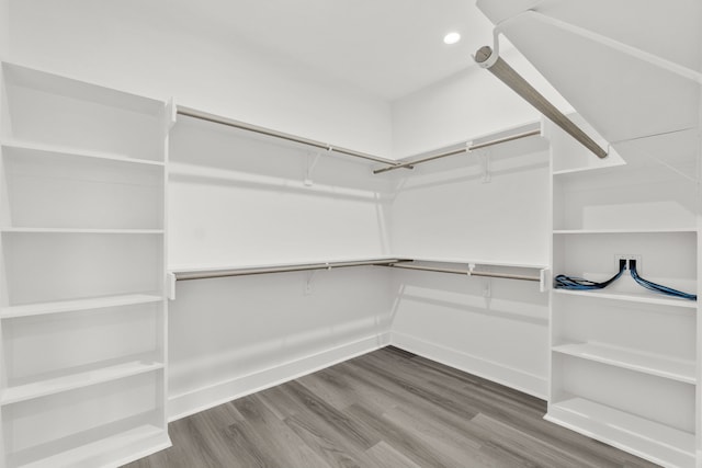 walk in closet featuring wood finished floors