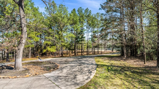 8408 Grand Lake Estates Dr, Montgomery, TX 77316 - view of community