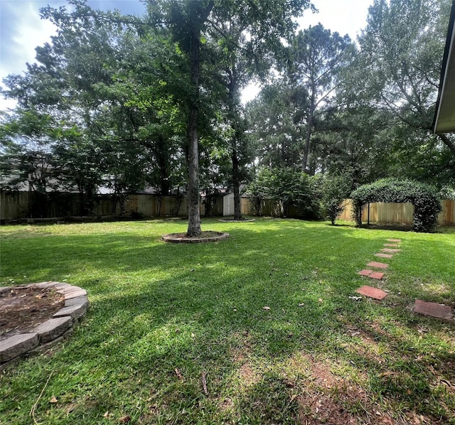 7107 Grant Dr, Magnolia, TX 77354 - view of yard with a shed