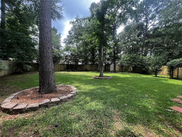 7107 Grant Dr, Magnolia, TX 77354 - view of yard with a storage shed